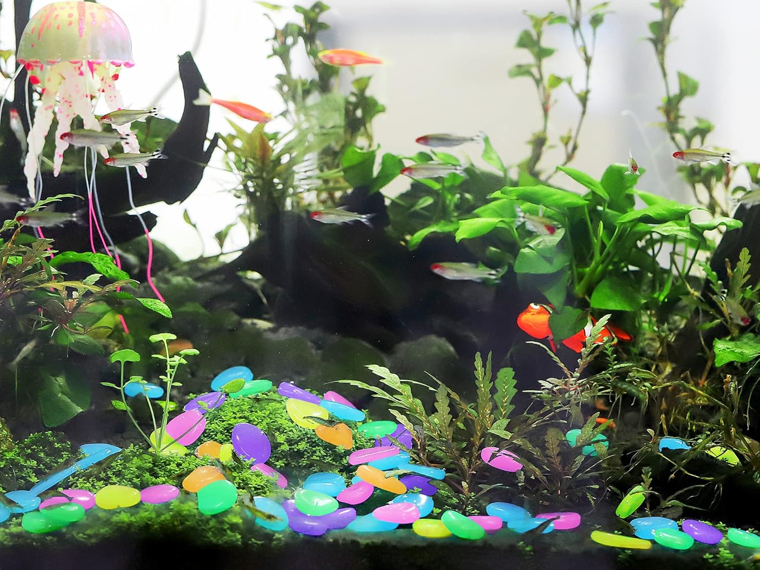 150 PCS Luminous Stones 6