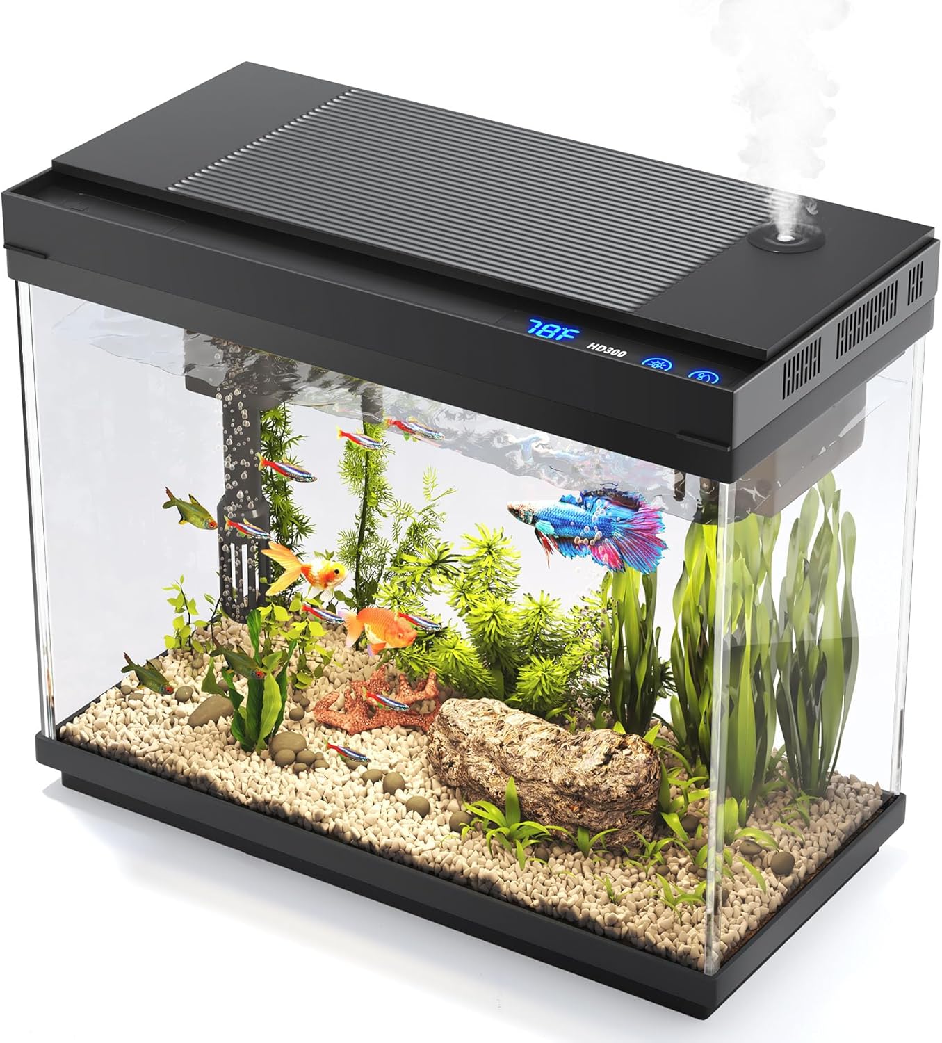 Fish Tank, 2.4 Gallon