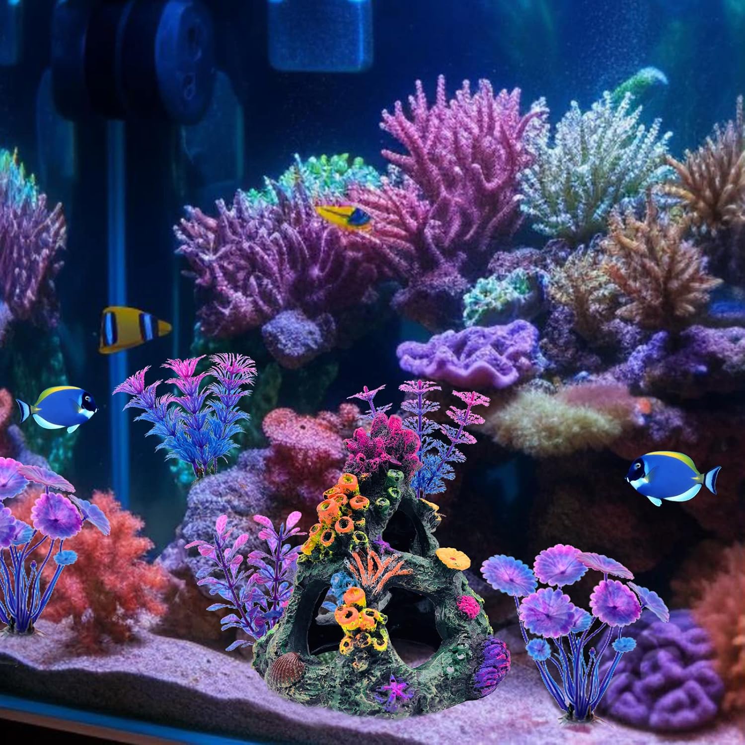 GSD Aquarium Colorful Cora 1
