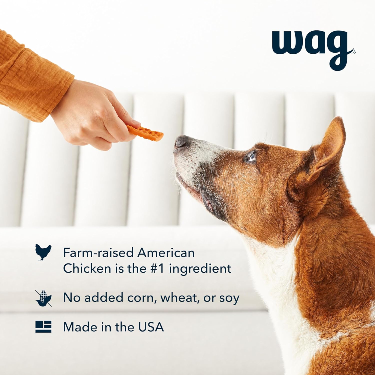 Wag dog chicken and waffle3