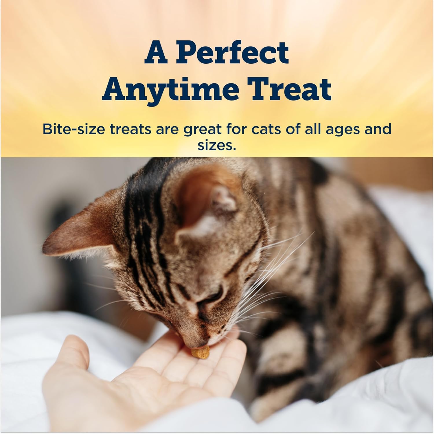 blue buffalo true chews cat 3