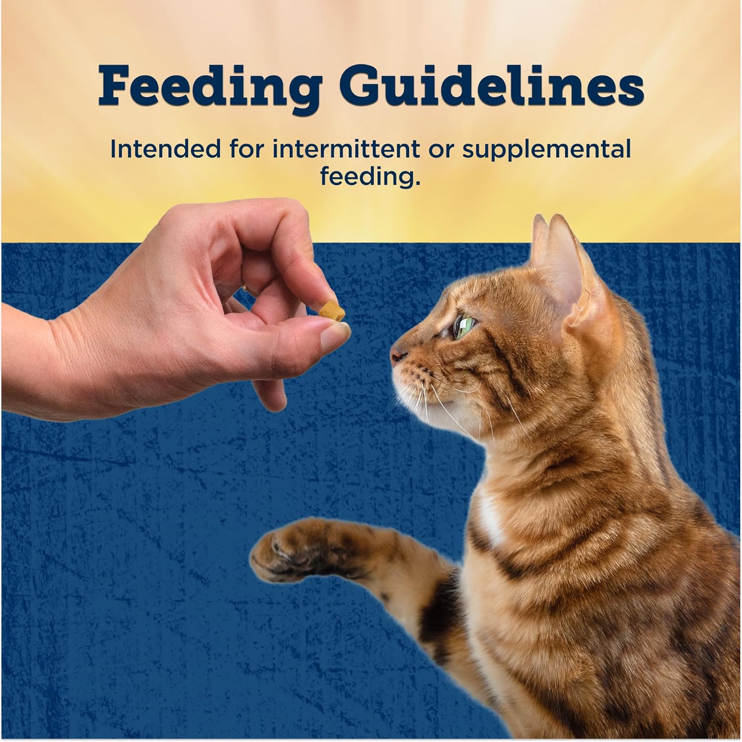 blue buffalo true chews cat 6