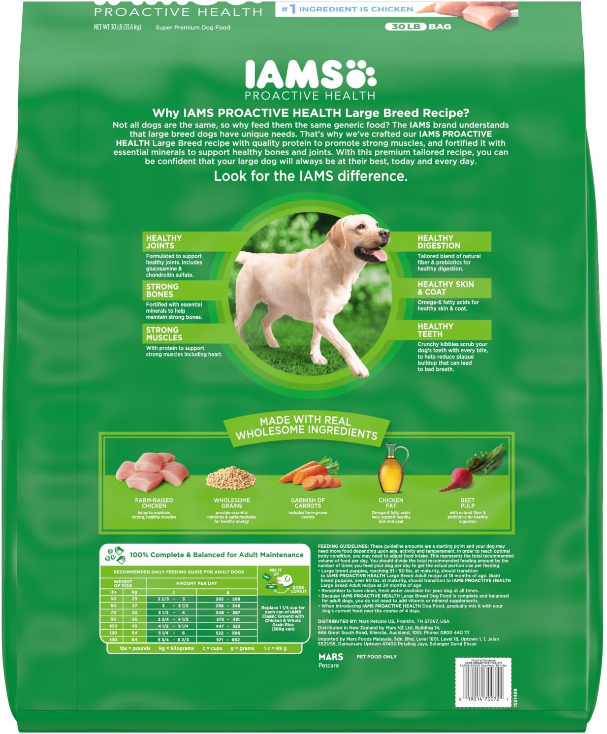 iams large 1