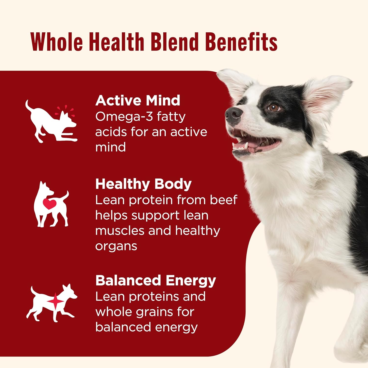nutrish beef and veggies wet food3