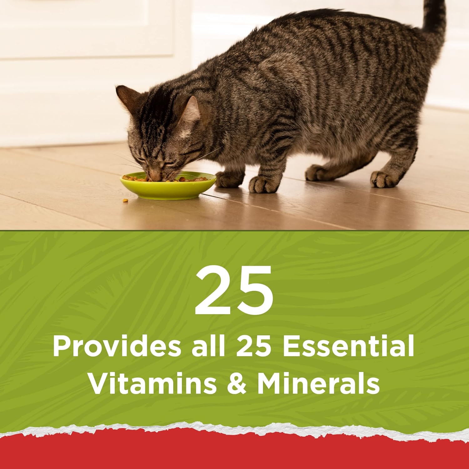purina cat natural 2