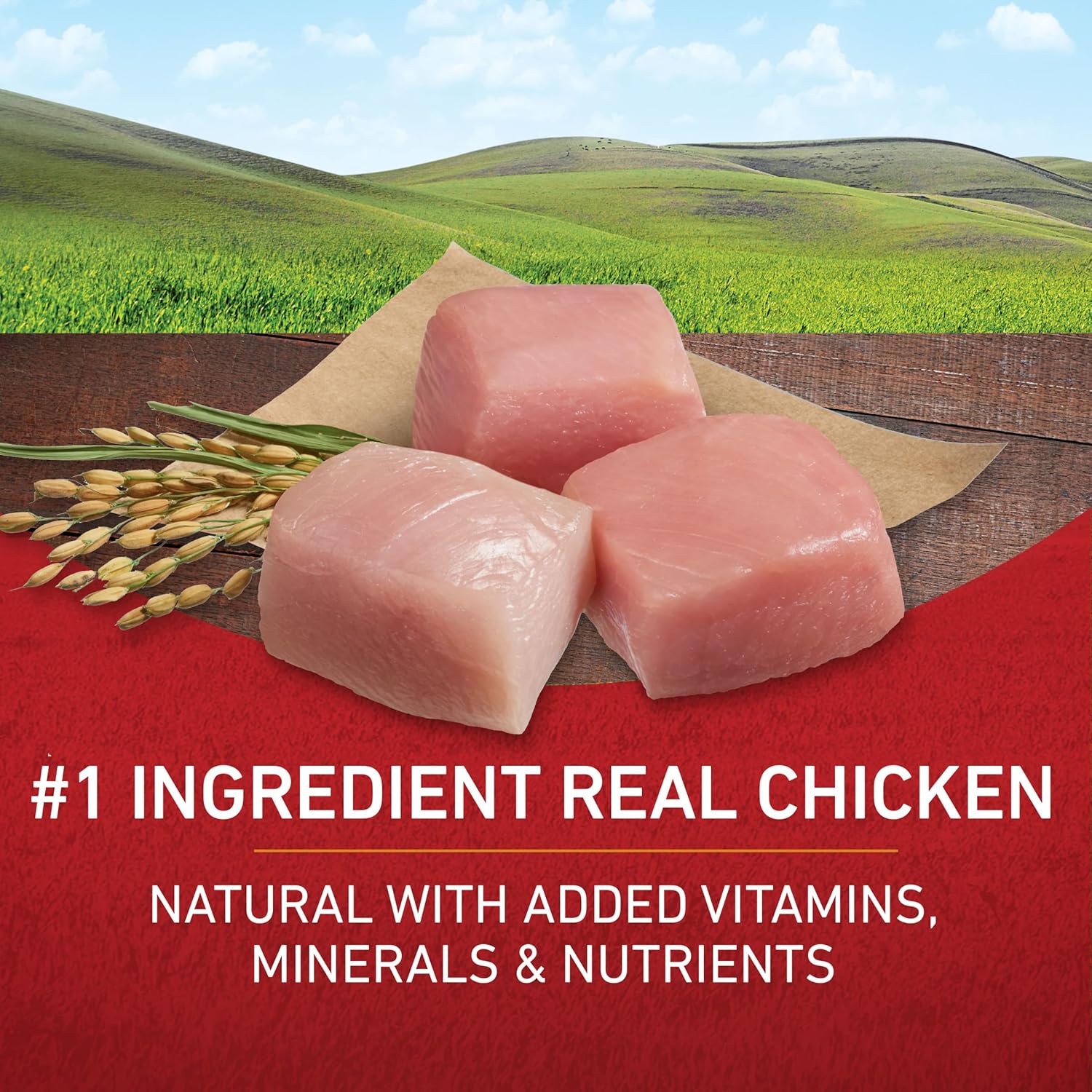 purina one chicken 2