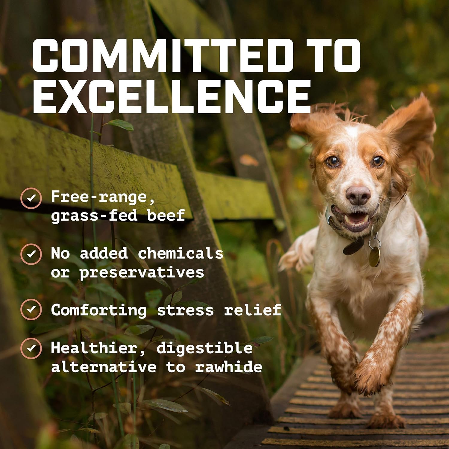 wild wolf angus bully sticks5